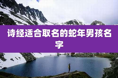 诗经适合取名的蛇年男孩名字