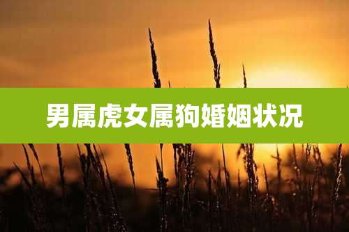 男属虎女属狗婚姻状况