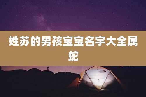 姓苏的男孩宝宝名字大全属蛇