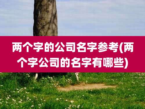 两个字的公司名字参考(两个字公司的名字有哪些)