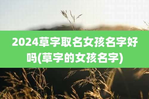 2024草字取名女孩名字好吗(草字的女孩名字)