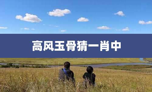 高风玉骨猜一肖中