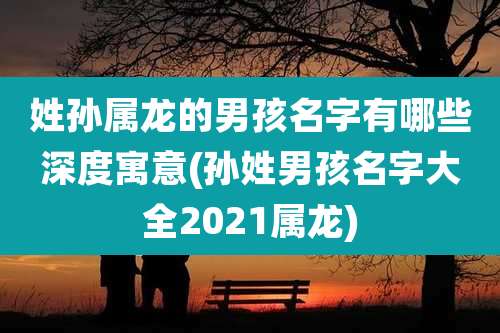 姓孙属龙的男孩名字有哪些深度寓意(孙姓男孩名字大全2021属龙)