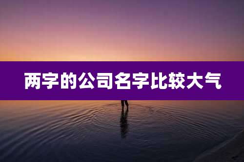 两字的公司名字比较大气