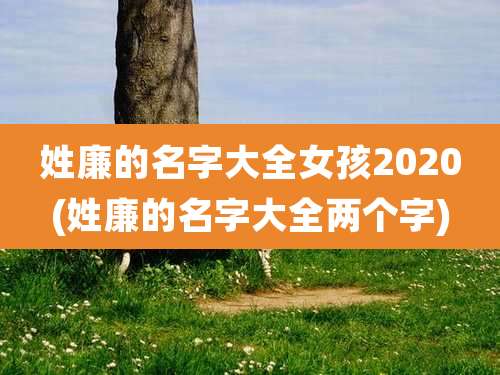 姓廉的名字大全女孩2020(姓廉的名字大全两个字)