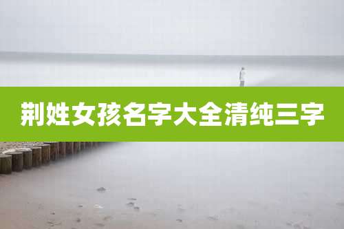 荆姓女孩名字大全清纯三字