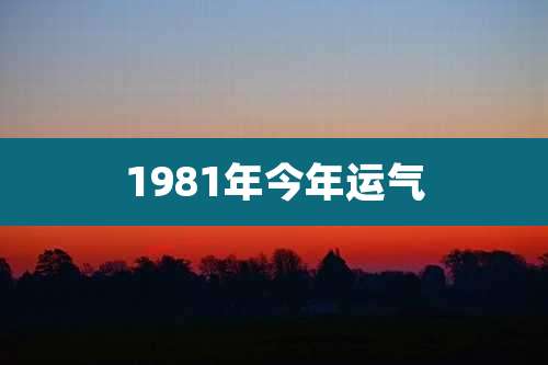 1981年今年运气
