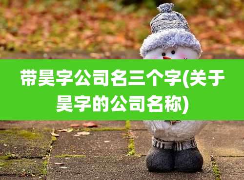 带昊字公司名三个字(关于昊字的公司名称)