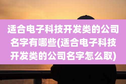 适合电子科技开发类的公司名字有哪些(适合电子科技开发类的公司名字怎么取)