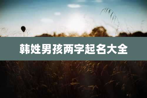 韩姓男孩两字起名大全