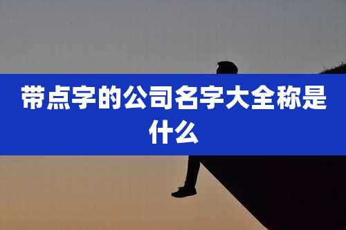 带点字的公司名字大全称是什么