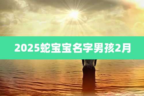 2025蛇宝宝名字男孩2月