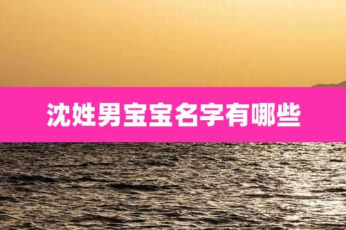 沈姓男宝宝名字有哪些