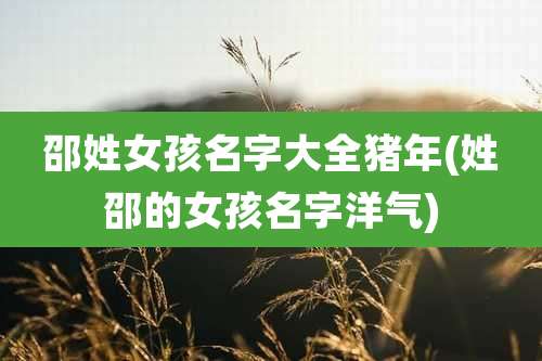 邵姓女孩名字大全猪年(姓邵的女孩名字洋气)