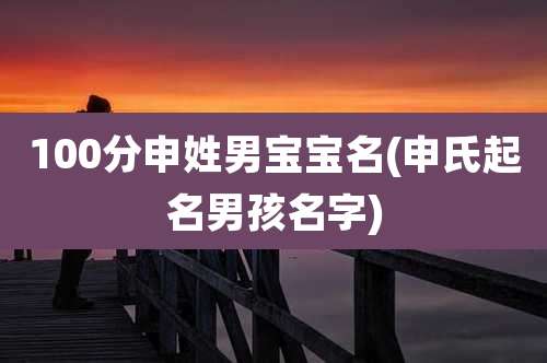 100分申姓男宝宝名(申氏起名男孩名字)
