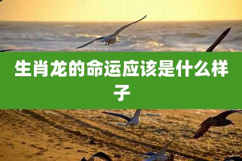 生肖龙的命运应该是什么样子
