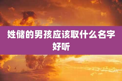 姓储的男孩应该取什么名字好听