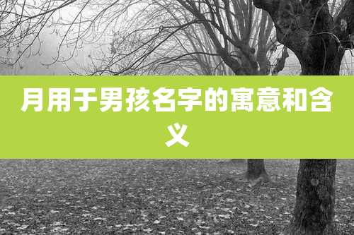 月用于男孩名字的寓意和含义