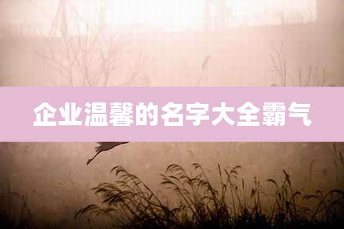 企业温馨的名字大全霸气
