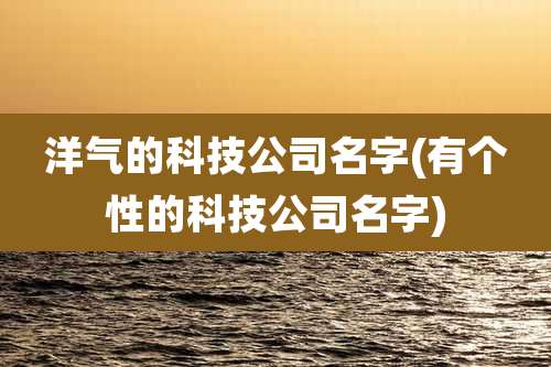 洋气的科技公司名字(有个性的科技公司名字)