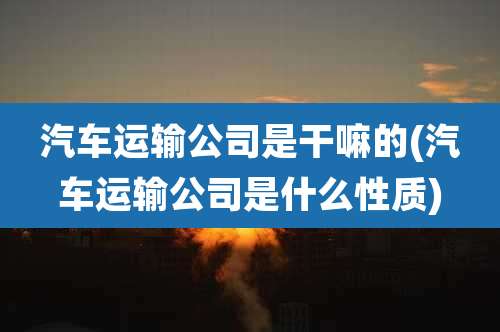 汽车运输公司是干嘛的(汽车运输公司是什么性质)