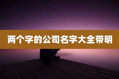 两个字的公司名字大全带明