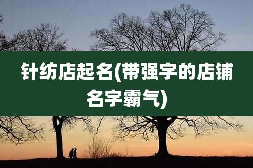 针纺店起名(带强字的店铺名字霸气)