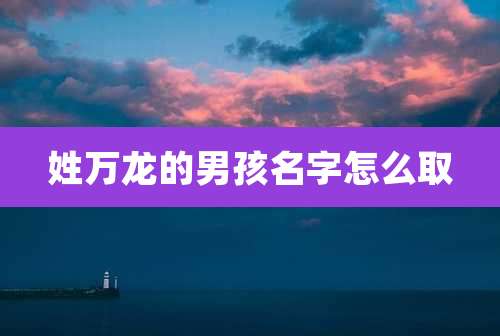 姓万龙的男孩名字怎么取