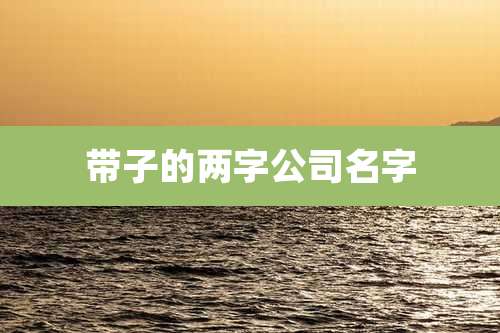 带子的两字公司名字