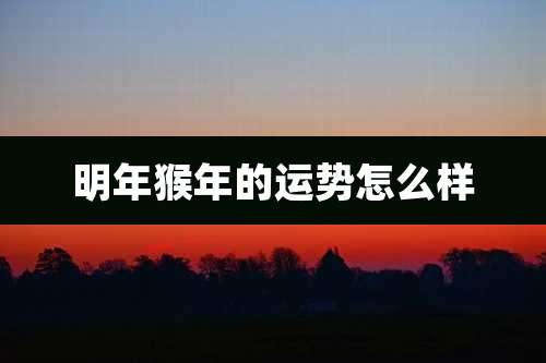 明年猴年的运势怎么样