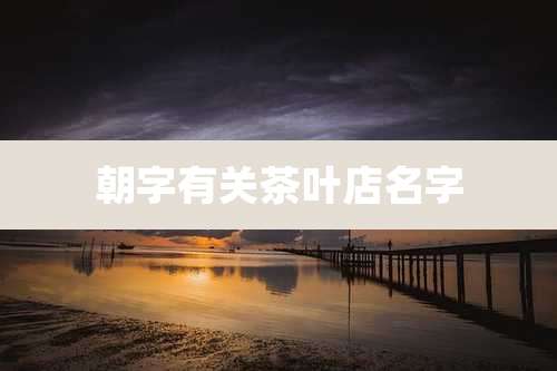 朝字有关茶叶店名字