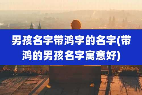 男孩名字带鸿字的名字(带鸿的男孩名字寓意好)