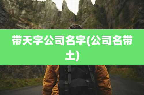 带天字公司名字(公司名带土)