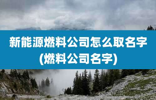 新能源燃料公司怎么取名字(燃料公司名字)