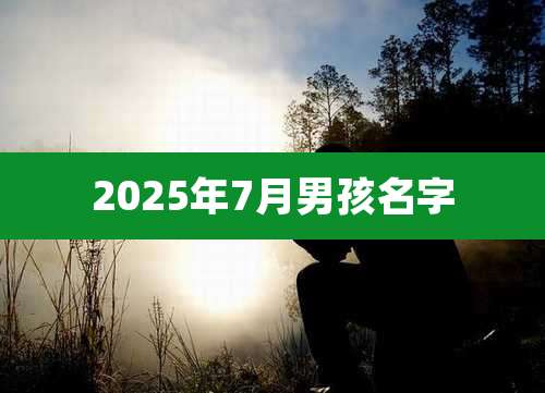 2025年7月男孩名字