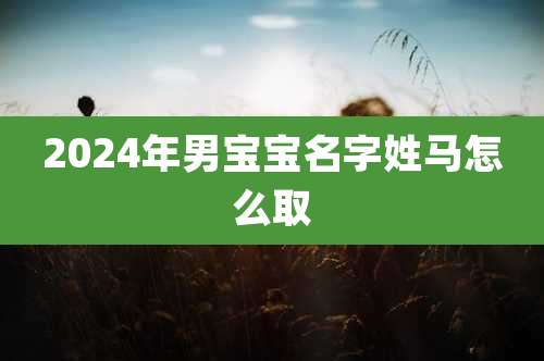 2024年男宝宝名字姓马怎么取