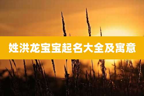 姓洪龙宝宝起名大全及寓意