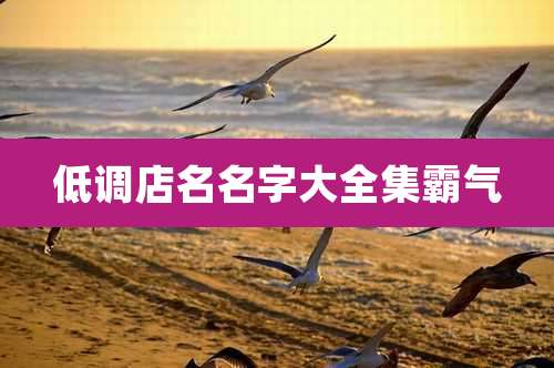 低调店名名字大全集霸气