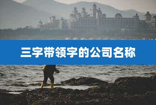 三字带领字的公司名称