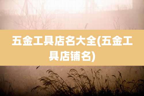 五金工具店名大全(五金工具店铺名)