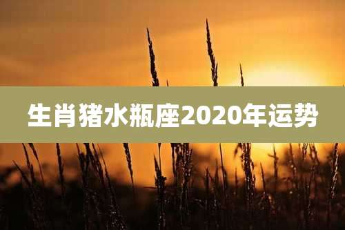 生肖猪水瓶座2020年运势