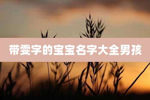 带雯字的宝宝名字大全男孩