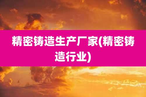 精密铸造生产厂家(精密铸造行业)