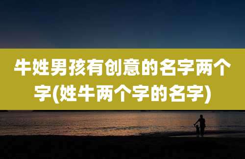 牛姓男孩有创意的名字两个字(姓牛两个字的名字)