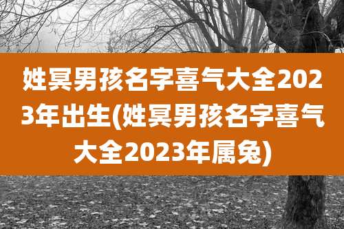 姓冥男孩名字喜气大全2023年出生(姓冥男孩名字喜气大全2023年属兔)
