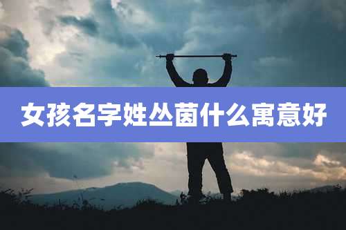 女孩名字姓丛茵什么寓意好