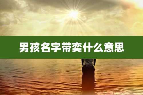 男孩名字带奕什么意思