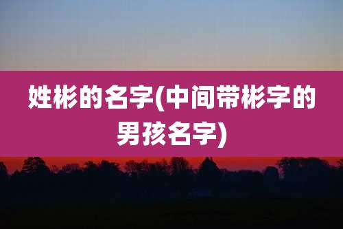 姓彬的名字(中间带彬字的男孩名字)