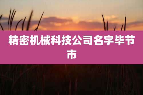 精密机械科技公司名字毕节市