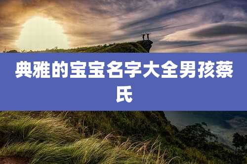 典雅的宝宝名字大全男孩蔡氏